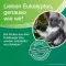 SOLEDUM Balsam flüssig, 20 ml