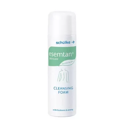 ESEMTAN Reinigungs- und Pflegeschaum, 500 ml