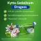 KYTTA SEDATIVUM Dragees, 40 St