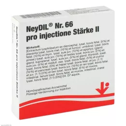 NEYDIL Nr.66 pro injectione St.2 Ampullen, 5X2 ml