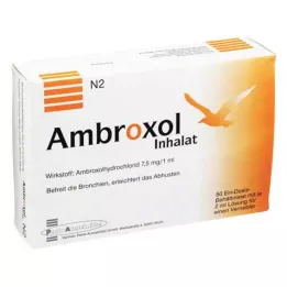 AMBROXOL Inhalat Lösung für einen Vernebler, 50X2 ml