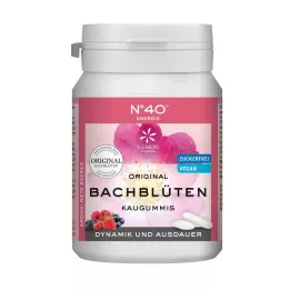 ENERGIE KAUGUMMI nach Dr.Bach, 40 St