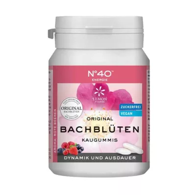 ENERGIE KAUGUMMI nach Dr.Bach, 40 St