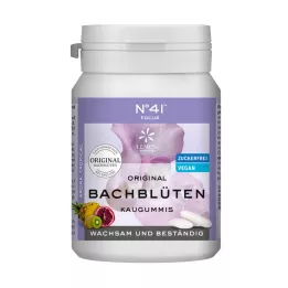 KONZENTRATION Kaugummi nach Dr.Bach, 40 St