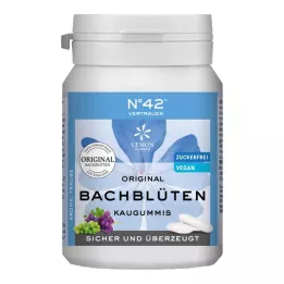 SELBSTVERTRAUEN Kaugummi nach Dr.Bach, 40 St