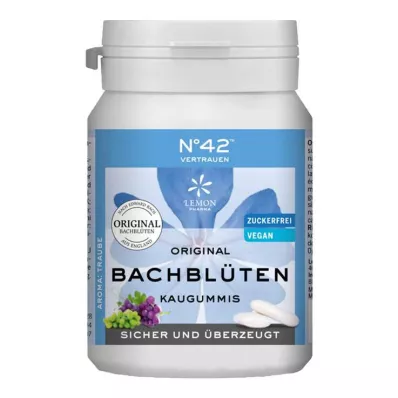 SELBSTVERTRAUEN Kaugummi nach Dr.Bach, 40 St