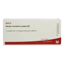 SECALE CORNUTUM E grano D 6 Ampullen, 10X1 ml