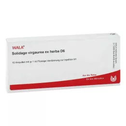SOLIDAGO VIRGAUREA ex herba D 6 Ampullen, 10X1 ml