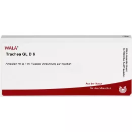 TRACHEA GL D 6 Ampullen, 10X1 ml