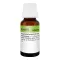 REVET H 5 Globuli f.Heimtiere, 10 g
