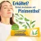 PINIMENTHOL Erkältungssalbe Eucal./Kiefern./Menth., 100 g