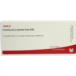 COLCHICUM E planta tota D 30 Ampullen, 10X1 ml