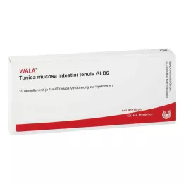 TUNICA mucosa intestini tenuis GL D 6 Ampullen, 10X1 ml