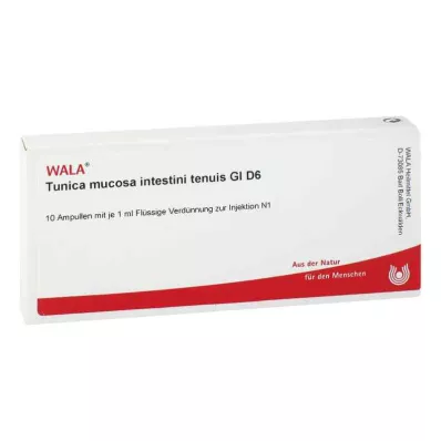 TUNICA mucosa intestini tenuis GL D 6 Ampullen, 10X1 ml