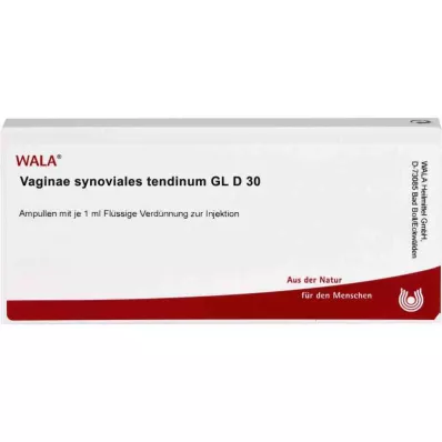 VAGINAE synoviales tendinum GL D 30 Ampullen, 10X1 ml VAGINAE synoviales tendinum GL D 30 Ampullen, 10X1 ml