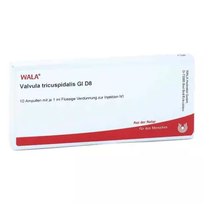 VALVULA tricuspidalis GL D 8 Ampullen, 10X1 ml VALVULA tricuspidalis GL D 8 Ampullen, 10X1 ml