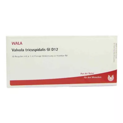 VALVULA tricuspidalis GL D 12 Ampullen, 10X1 ml VALVULA tricuspidalis GL D 12 Ampullen, 10X1 ml