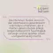 APOTHEKERS Lippenbalsam, 1 St