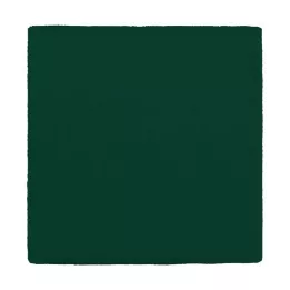 MULLKOMPRESSEN 10x10 cm 12fach grün, 100 St
