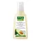 RAUSCH Avocado Farbschutz Shampoo, 200 ml
