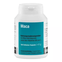 MACA KAPSELN, 100 St