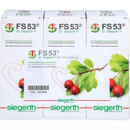 FS 53 Dr.Siegerth H flüssig, 3X100 ml