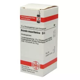 ARUNDO mauritanica D 6 Globuli, 10 g