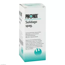 PHÖNIX SOLIDAGO spag.Mischung, 100 ml