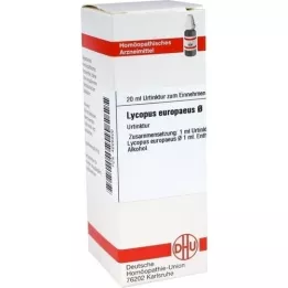 LYCOPUS EUROPAEUS Urtinktur, 20 ml