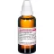 SERUM ANGUILLAE D 12 Dilution, 50 ml