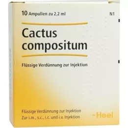 CACTUS COMPOSITUM Ampullen, 10 St