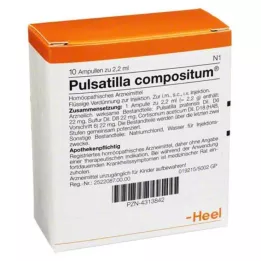PULSATILLA COMPOSITUM Ampullen, 10 St