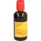 SOLIDAGO HEVERT Complex Tropfen, 100 ml