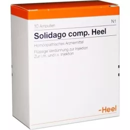 SOLIDAGO COMP.Heel Ampullen, 10 St