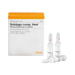 SOLIDAGO COMP.Heel Ampullen, 10 St
