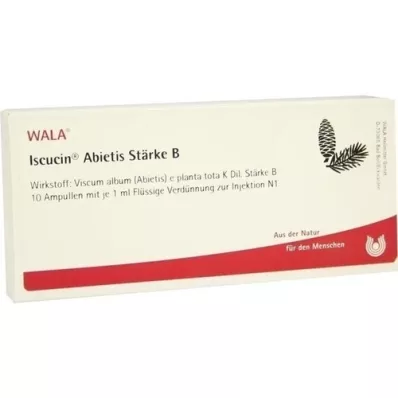 ISCUCIN abietis Stärke B Ampullen, 10X1 ml