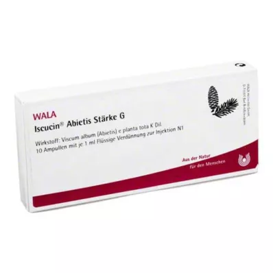 ISCUCIN abietis Stärke G Ampullen, 10X1 ml