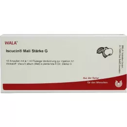 ISCUCIN mali Stärke G Ampullen, 10X1 ml