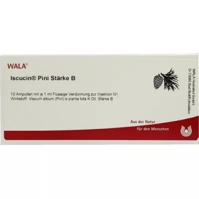 ISCUCIN pini Stärke B Ampullen, 10X1 ml