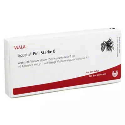 ISCUCIN pini Stärke B Ampullen, 10X1 ml ISCUCIN pini Stärke B Ampullen, 10X1 ml