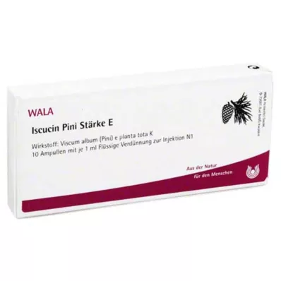 ISCUCIN pini Stärke E Ampullen, 10X1 ml