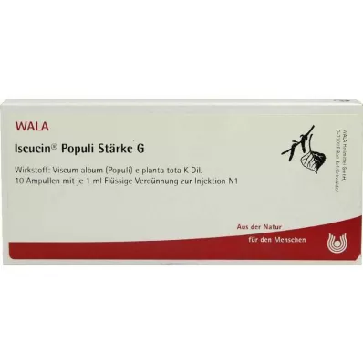 ISCUCIN populi Stärke G Ampullen, 10X1 ml