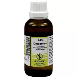 DIOSCOREA F Komplex Nr.243 Dilution, 50 ml