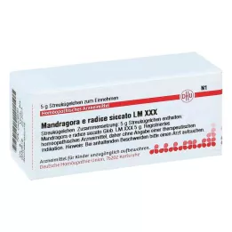 MANDRAGORA E radice siccata LM XXX Globuli, 5 g