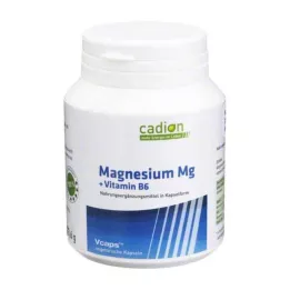 CADION Magnesium Kapseln+B6, 90 St