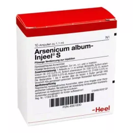 ARSENICUM ALBUM INJEEL S Ampullen, 10 St
