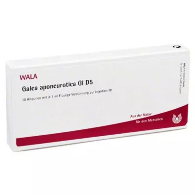 GALEA aponeurotica GL D 5 Ampullen, 10X1 ml