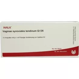 VAGINAE synoviales tendinum GL D 5 Ampullen, 10X1 ml