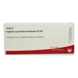 VAGINAE synoviales tendinum GL D 5 Ampullen, 10X1 ml