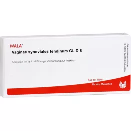 VAGINAE synoviales tendinum GL D 8 Ampullen, 10X1 ml